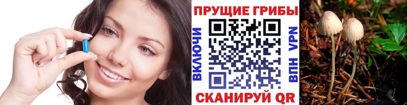 Псилоцибиновые грибы GOLDEN TEACHER  Купить  Покачи 